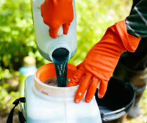 المبيدات المركبة