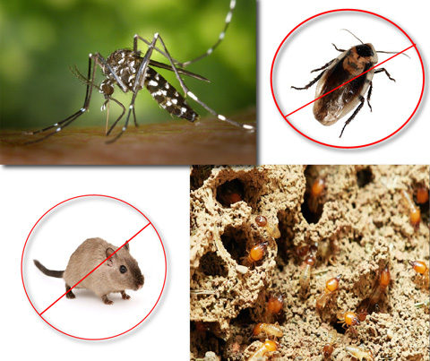 منتجات الصحة العامة