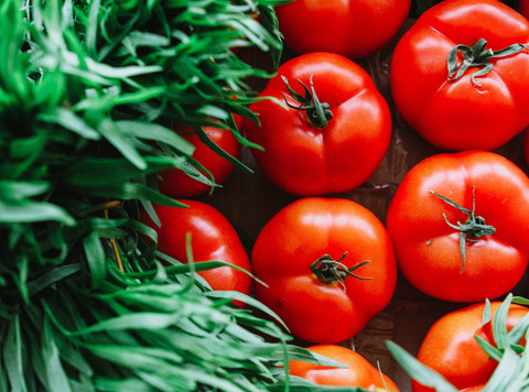 المبيدات الفطرية