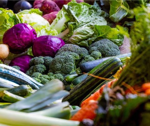 المبيدات الحيوية