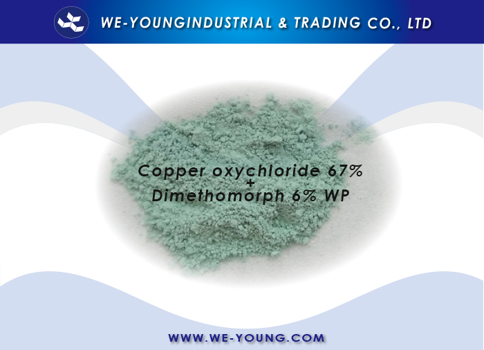Copper oxychloride+Dimethomorph